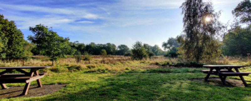 Witham Meadow